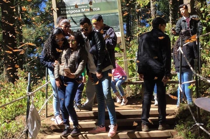 Monarch Butterfly Private Tour from Morelia — El Rosario Sanctuary Experience photo 3