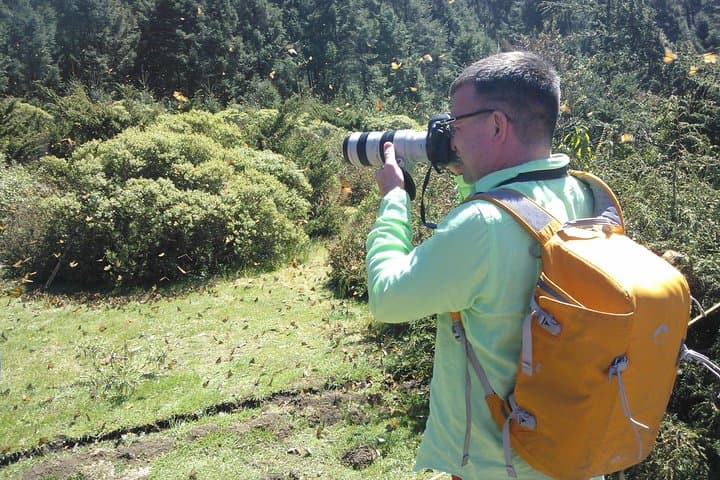 Monarch Butterfly Private Tour from Morelia — El Rosario Sanctuary Experience photo 5