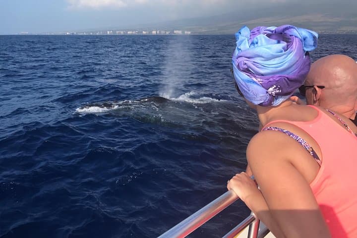 Small-Group Whale Watching Adventure in Lahaina, Maui photo 2