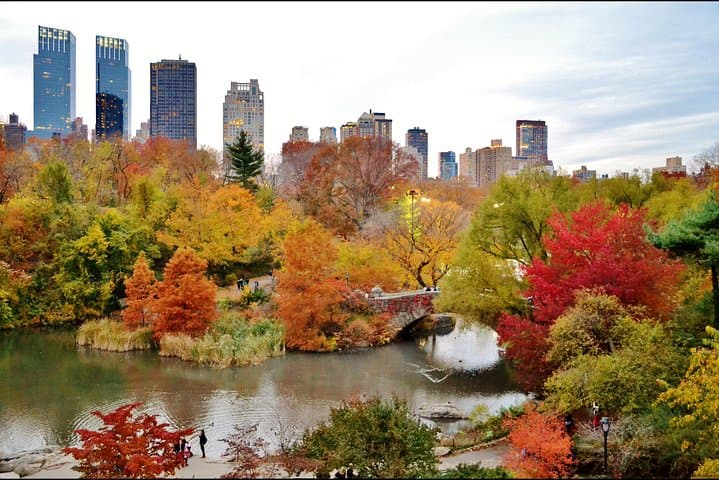 Private Manhattan & Brooklyn Full-Day Driving Tour — Custom Guided NYC Sightseeing photo 4