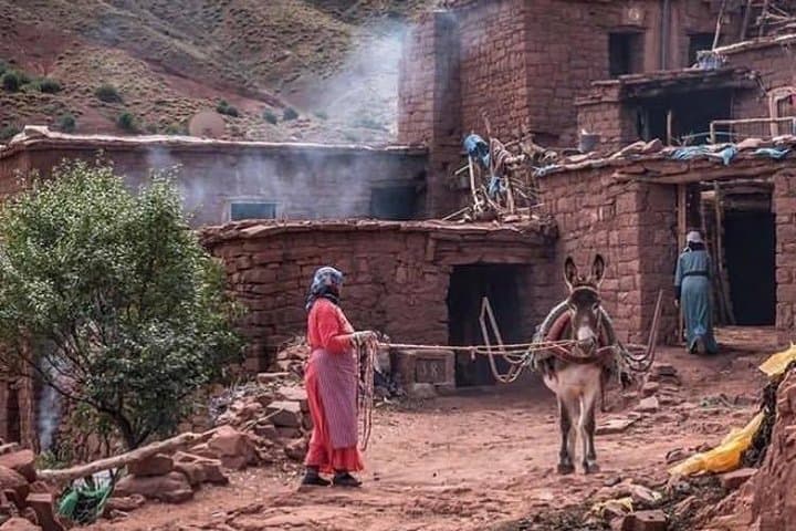 Atlas Mountains Valleys and Berber Villages Day Trip from Marrakech