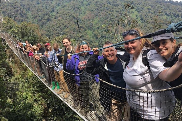 2-Day Chimpanzee Trekking & Canopy Walk in Nyungwe National Park, Rwanda photo 5