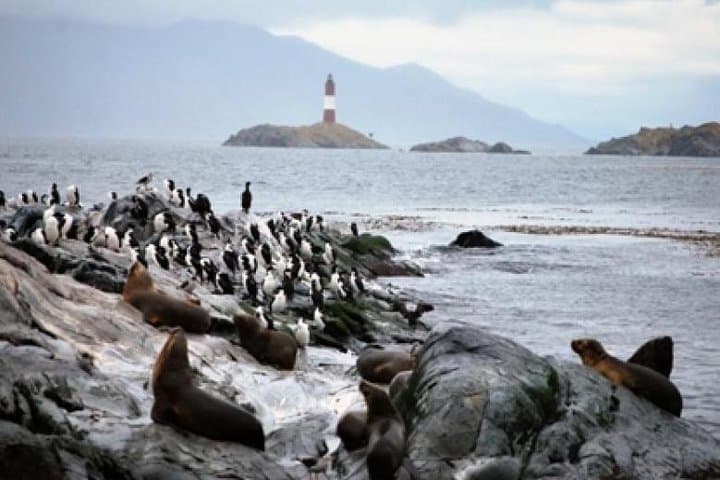 Sail the Beagle Channel to Martillo Island Penguin Colony photo 4