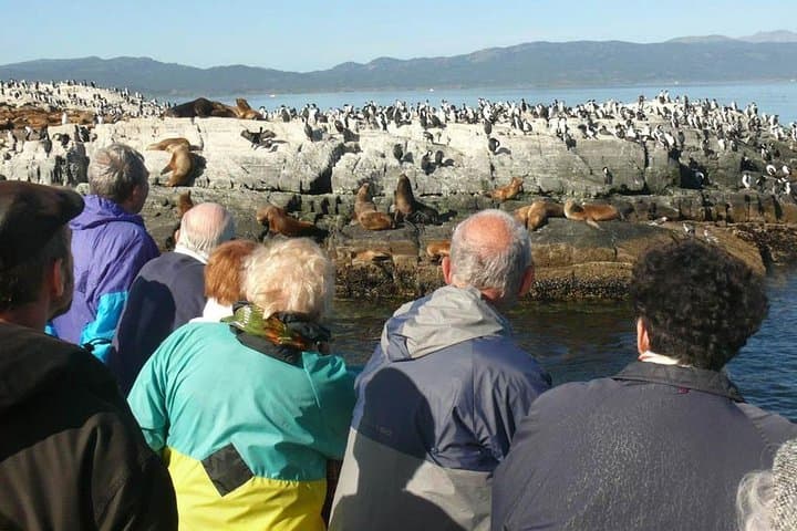 Sail the Beagle Channel to Martillo Island Penguin Colony photo 5