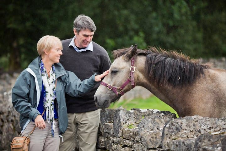 Private Half-Day Connemara Tour from Galway: Kylemore Abbey, Sky Road & Coastal Views photo 2