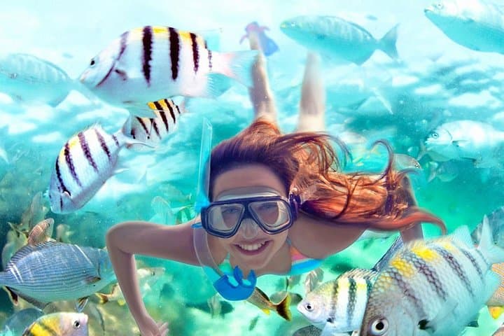 Xel-Há All-Inclusive Day Trip from Tulum: Snorkel Cenotes & Mangrove Trails photo 5