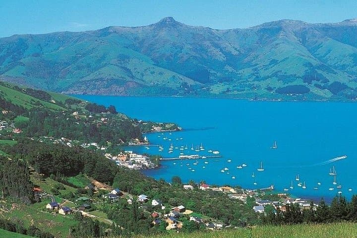 Akaroa Day Tour: Full-Day Sightseeing & Dolphin Cruise from Christchurch photo 4