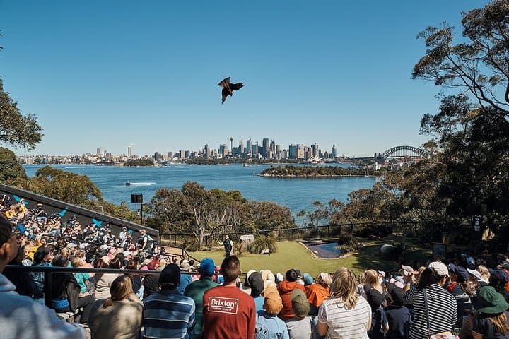 Taronga Zoo Aussie Backyard Adventure Tour — Meet Koalas, Kangaroos & More