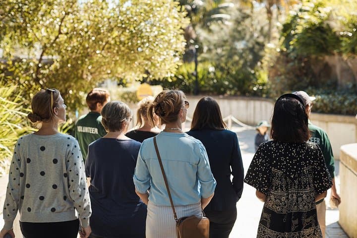 Taronga Zoo Aussie Backyard Adventure Tour — Meet Koalas, Kangaroos & More photo 2