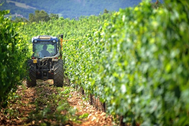Chianti Vineyards Private Tour: Full-Day Luxury Van Wine Tasting from Florence