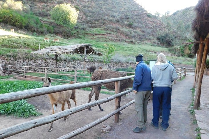 Sacred Valley Day Tour: Ollantaytambo, Moray & Maras Salt Mines photo 2