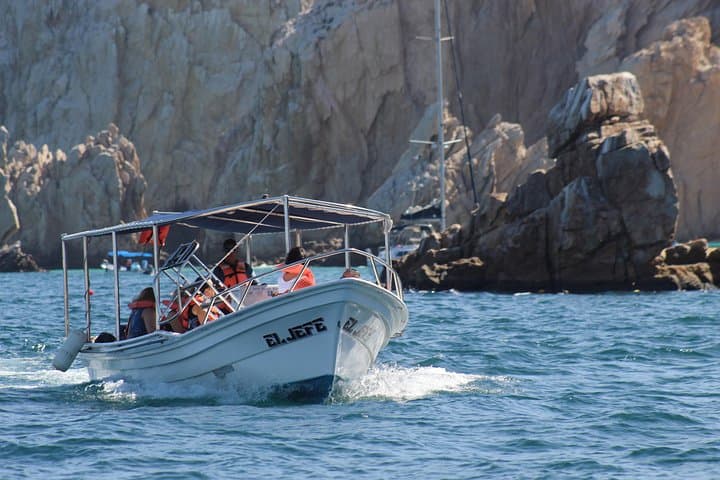 El Arco Boat Tour: 1-Hour Shared Ride to the Arch of Cabo San Lucas photo 4