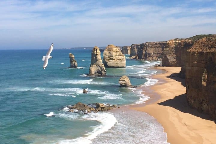 Private Day Tour to the 12 Apostles on the Great Ocean Road photo 3