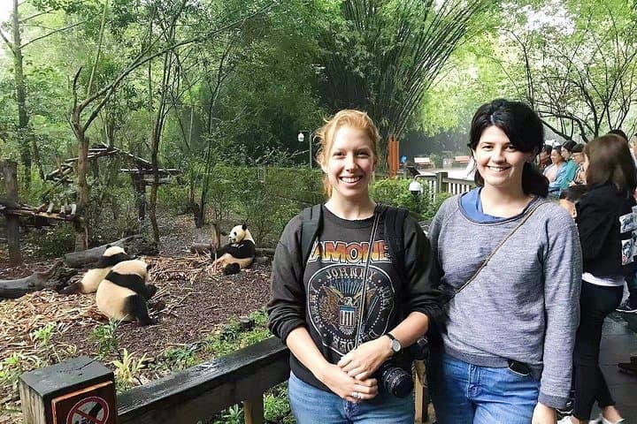Half-Day at Chengdu Panda Base: Meet Giant Pandas in the City
