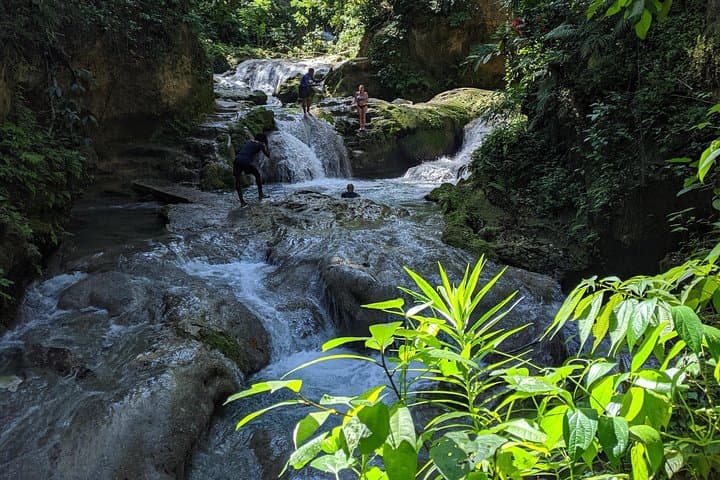 Private Blue Hole Adventure in Ocho Rios: Hidden Waterfalls & Jungle Scrambles photo 5