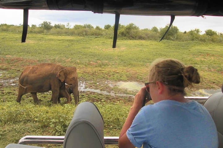 Sri Lanka Culture & Heritage 9-Day Private Tour: Sigiriya, Kandy, Tea Country & Beaches photo 3