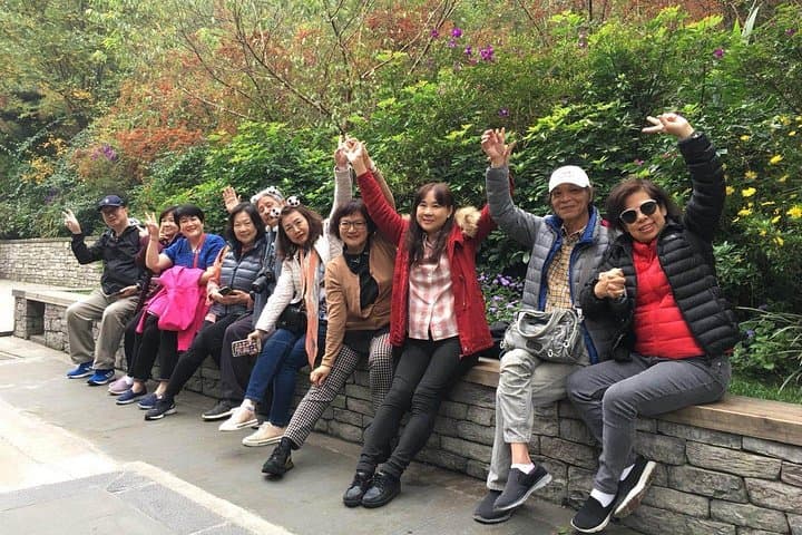 Half-Day at Chengdu Panda Base: Meet Giant Pandas in the City photo 4