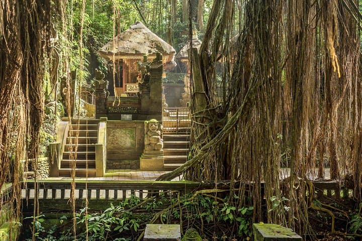 Ubud Private Tour: Waterfalls, Rice Terraces & Monkey Forest Full-Day Adventure photo 5