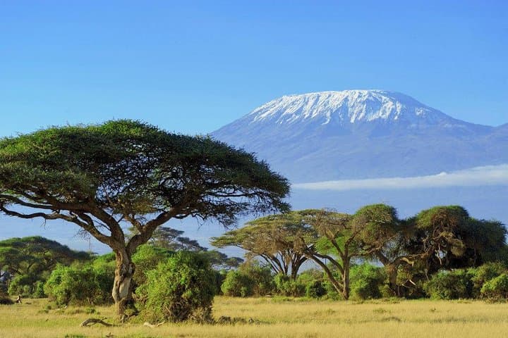 Safari at the Foot of Kilimanjaro: 3-Day Tsavo West & Amboseli Ziwani Adventure
