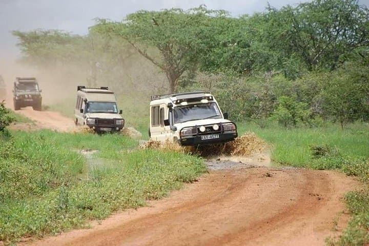 Safari at the Foot of Kilimanjaro: 3-Day Tsavo West & Amboseli Ziwani Adventure photo 5