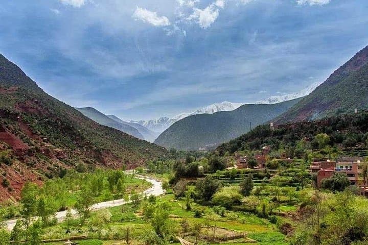 Ourika Valley Day Trip from Marrakech — Berber Villages, Seven Waterfalls & Argan Cooperatives photo 2