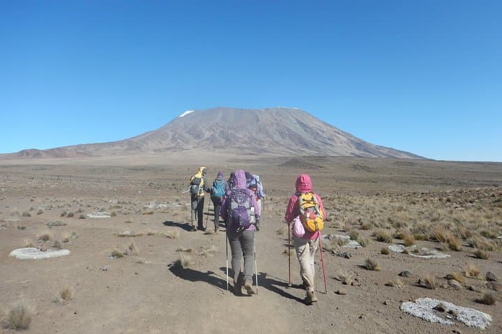 Climb Mount Kilimanjaro via the Machame Route — 6-Day Summit Guide