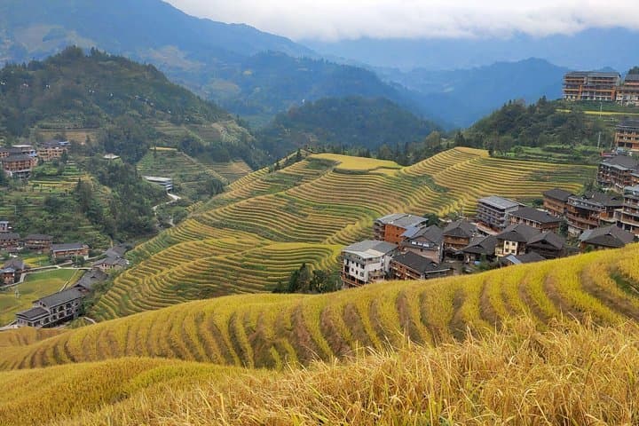 Guilin Tea Plantation and Longji Rice Terraces Day Tour: Ping'an & Huangluo Villages