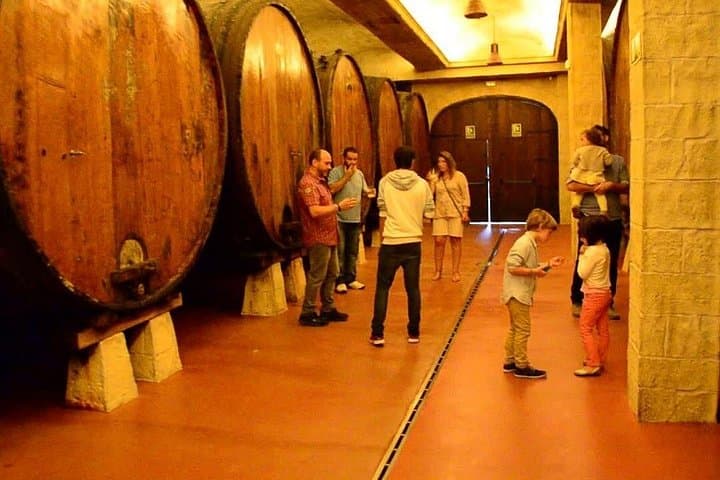 Bilbao Day Trip: Albaola Sea Factory & Petritegi Cider House Experience photo 2