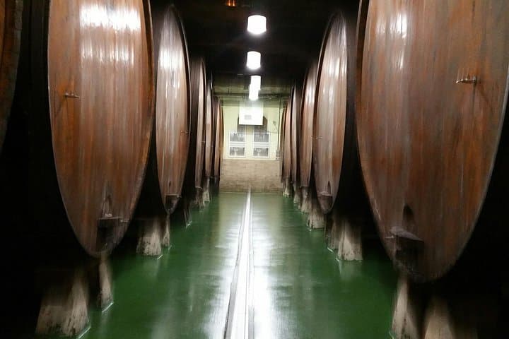 Bilbao Day Trip: Albaola Sea Factory & Petritegi Cider House Experience photo 3