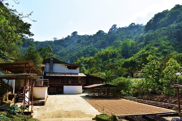 Full-Day Private Minca Tour: Waterfalls, Coffee Farm & Marinka Swim photo 5