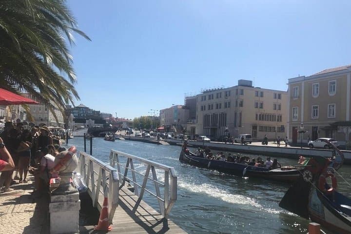 Aveiro and Coimbra Day Trip from Lisbon: Canals, University Halls and Seaside Salt Pans photo 4