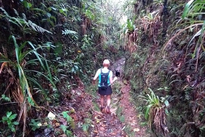 Hiking Mountains and Magical Forests near Medellín — Envigado Trek to Waterfalls