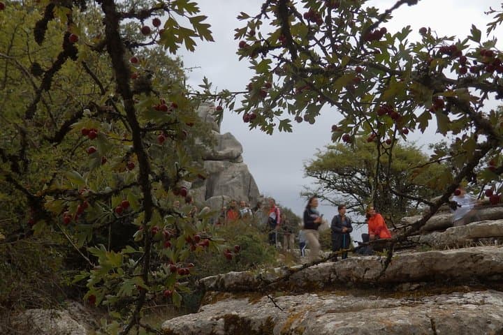 Private Guided Hike to Torcal de Antequera — Karst Trails & Local Guide photo 6