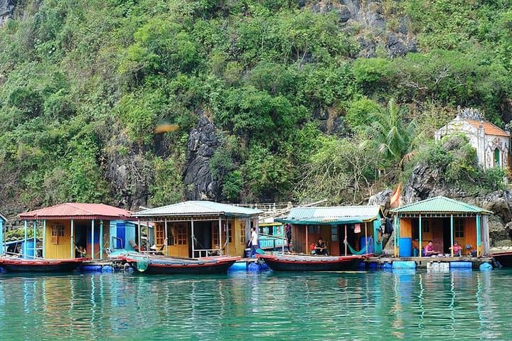 Hanoi to Halong Bay: 5-Day Hoa Lu & Tam Coc Cultural Cruise Tour photo 2