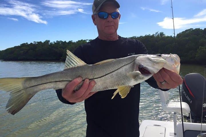 Amelia Island Inshore Fishing Charter — Redfish, Tarpon & Backwater Action photo 3