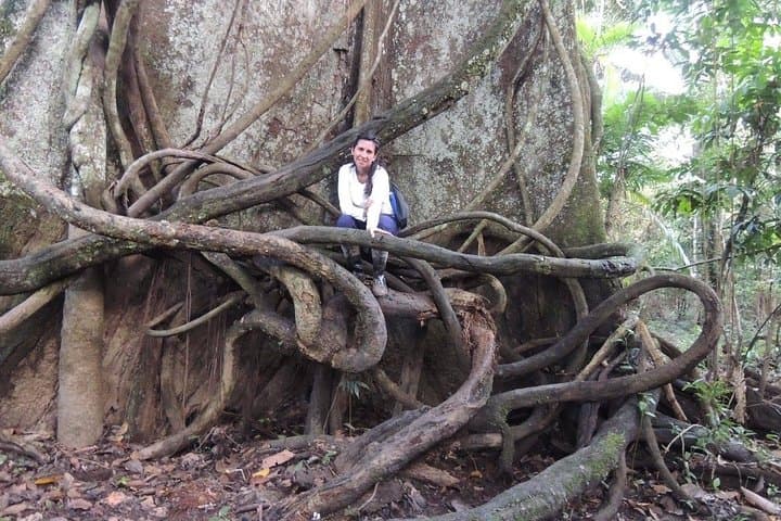3-Day Amazon Rainforest Adventure from Iquitos: Nauta, Yarapa & Wildlife photo 6