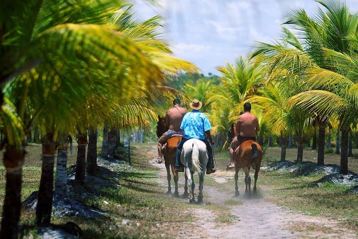 Mãe Tereza Ecological Park: Porto Seguro Atlantic Forest park with lake, trails and family activities photo 5