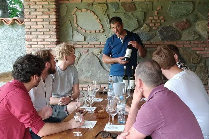 Organic Kakheti Wine Day Trip from Tbilisi — 3 Wineries, Lunch & Tastings photo 5