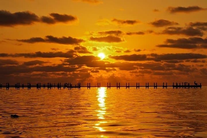 Boca Grande Inshore Fishing Charter — Private Half & Full-Day Trips in Boca Grande Sound photo 5