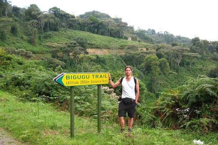 3-Day Gorilla Tracking in Bwindi Impenetrable National Park, Uganda photo 6