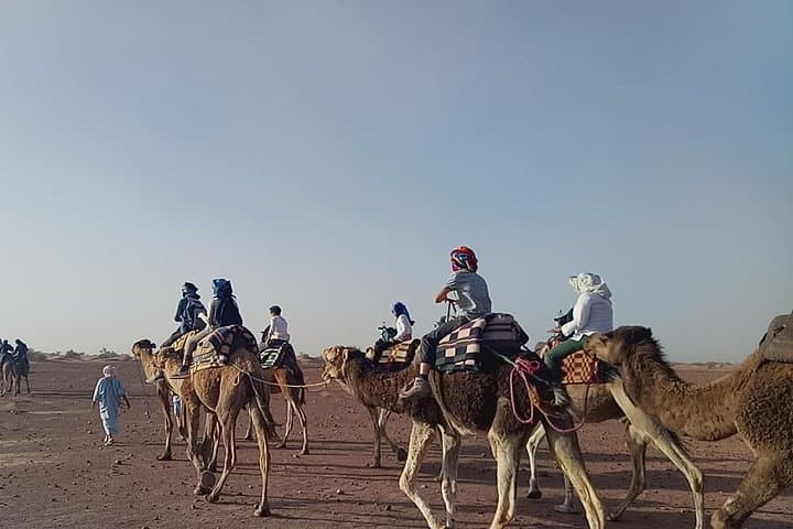 Two-Day Zagora Desert Trip: Camel Dunes, Ait Benhaddou & Atlas Pass photo 5