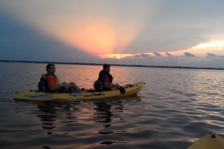 Paddle with Manatees and Dolphins: Guided Kayak Tour in Cocoa Beach photo 3