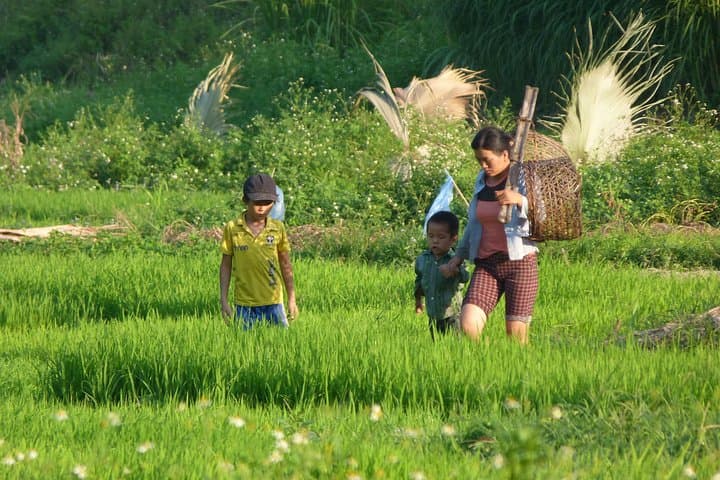 Ha Giang Trekker 2D2N: Two-Day Homestay Trek Through Tay & Dao Villages photo 3