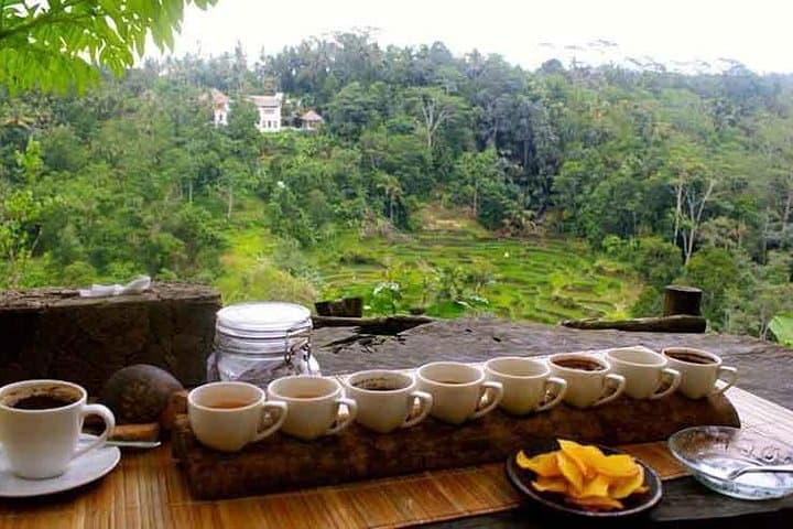 Ubud Cultural Tour: Temples, Rice Terraces & Monkey Forest in a Day photo 6