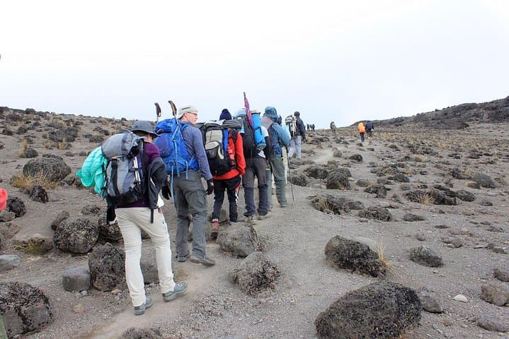 Kilimanjaro Climb via the Umbwe Route: A 6-Day Challenge to Africa’s Roof photo 4