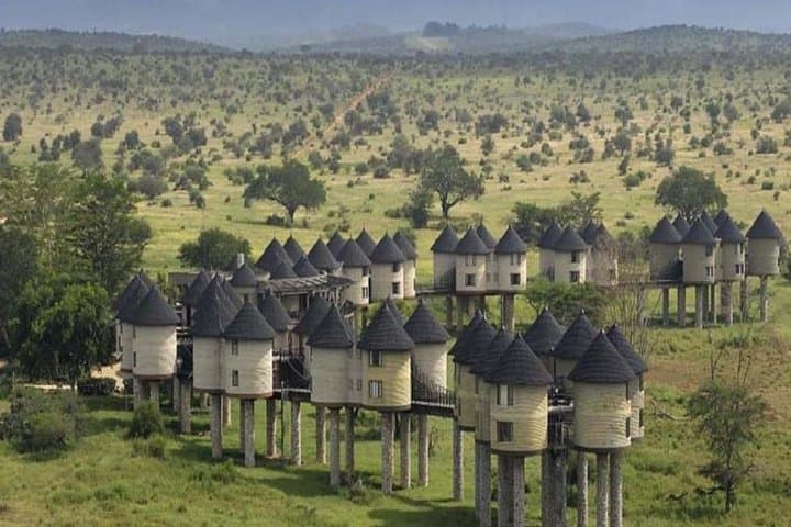 2-Day Saltlick Safari — Taita Hills Game Drives from Diani photo 6