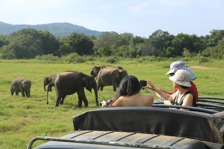 3-day-glimpse-of-sri-lanka-kandy-sigiriya-dambulla-minneriya