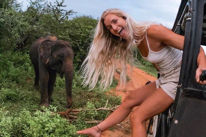 Spiritual Freedom: 7-Day Cultural and Wildlife Journey Through Sri Lanka's Cultural Triangle