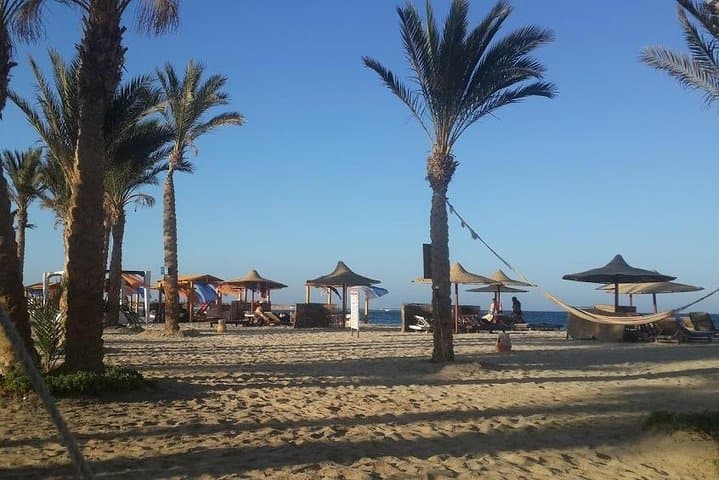 Full-Day Snorkel at Abu Dabbab Beach from Hurghada — Turtles & Dugongs