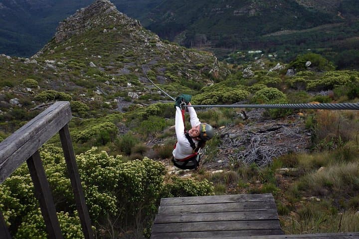 Cape Town Zipline at Table Mountain Reserve — 2.3km Over Fynbos and Canyon Views photo 3